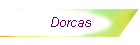 Dorcas